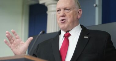 Stephen Miller, Tom Homan Rip Dems on Child Labor at Pot Farm; Big News About Kids Missing Under Biden