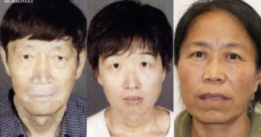 Surrogacy scandal: 21 children - all with surrogate mothers - taken from Arcadia, Califronia couple amid investigation