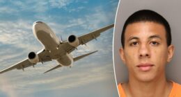Suspect arrested after alleged mid-flight bomb threat caused emergency landing