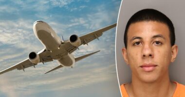 Suspect arrested after alleged mid-flight bomb threat caused emergency landing