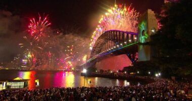 A controversial new fee for the Sydney New Year's Eve fireworks is being debated.