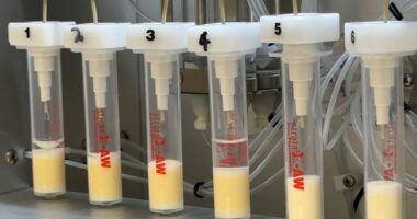 Tampa Bay Water awarded $21M+ in class action settlement over 'forever chemicals'