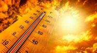 Tampa ties all-time record high