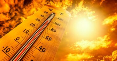 Tampa ties all-time record high