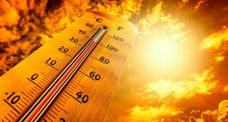 Tampa ties all-time record high