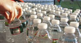 Rows of bottled water.