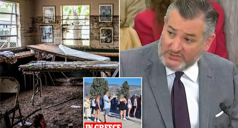Ted Cruz says he wishes he had a 'time machine' to stop Texas floods