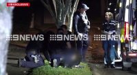Two teenagers charged after allegedly crashing stolen car into tow truck on the Gold Coast