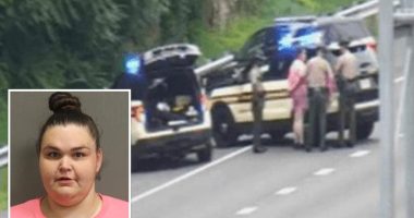 Tennessee felon Katlyn Wray, leads cops on 4-hour long slow motion chase with speeds of 7 mph in stolen car