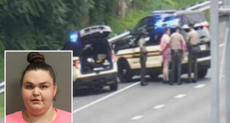 Tennessee felon Katlyn Wray, leads cops on 4-hour long slow motion chase with speeds of 7 mph in stolen car