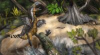 Terror bird may have been killed by even bigger creature 13 million years ago, bite marks suggest
