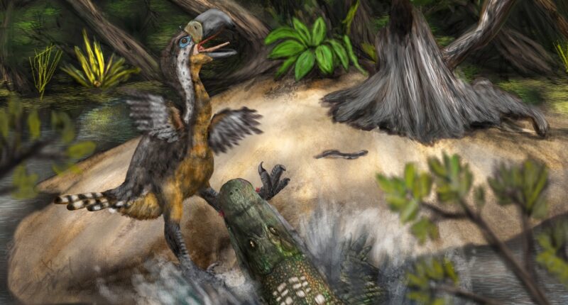 Terror bird may have been killed by even bigger creature 13 million years ago, bite marks suggest