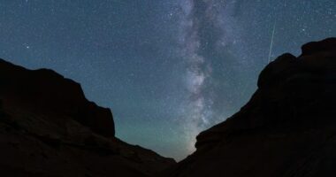 The Perseids meteor shower in Mongolia in 2023.