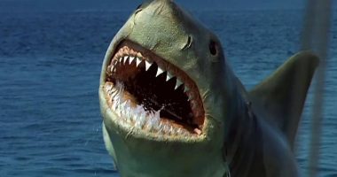 The 15 Worst Horror Movies Of All Time, Ranked