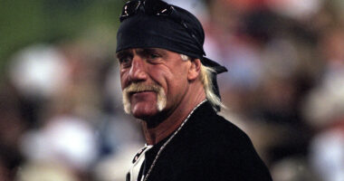 The Hulk Hogan Martial Arts Movie With A Horrible 0% Score On Rotten Tomatoes