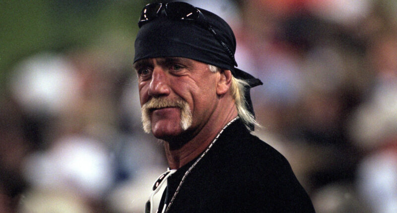 The Hulk Hogan Martial Arts Movie With A Horrible 0% Score On Rotten Tomatoes