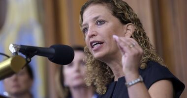 The Internet Is Laughing at Debbie Wassermann Schultz and Her 'Alligator Alcatraz'