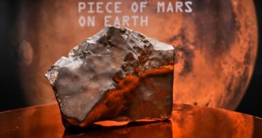 The biggest piece of Mars on Earth is going up for auction in New York