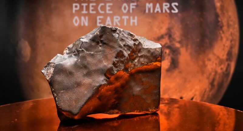 The biggest piece of Mars on Earth is going up for auction in New York