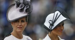 The change in royal protocol Sophie is 'relieved' about since becoming a Duchess