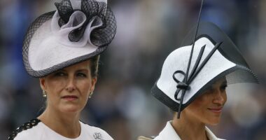 The change in royal protocol Sophie is 'relieved' about since becoming a Duchess