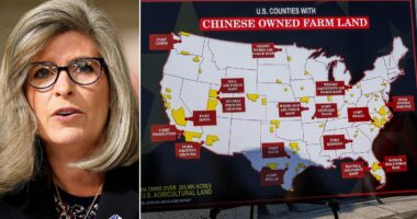 The (rare bipartisan) shot to block China's under-the-radar land grab