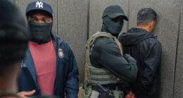 The rise of masked police officers in immigration crackdowns across the US is controversial new ground in American life