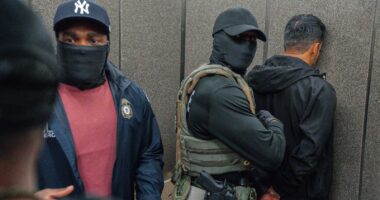 The rise of masked police officers in immigration crackdowns across the US is controversial new ground in American life