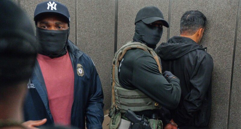 The rise of masked police officers in immigration crackdowns across the US is controversial new ground in American life