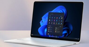 This $55 Microsoft Bundle Delivers Two Essential Tools for Business Owners
