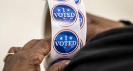 Thousands of South Carolina voters marked as 'inactive' following registration check