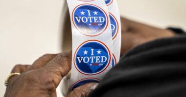 Thousands of South Carolina voters marked as 'inactive' following registration check