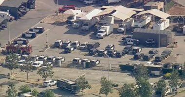 Aerial view of police and emergency vehicles at a scene.