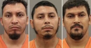 ThreeÂ illegal Salvadorans using dating app to meet teen girls nabbed in Houston sting operation: authorities