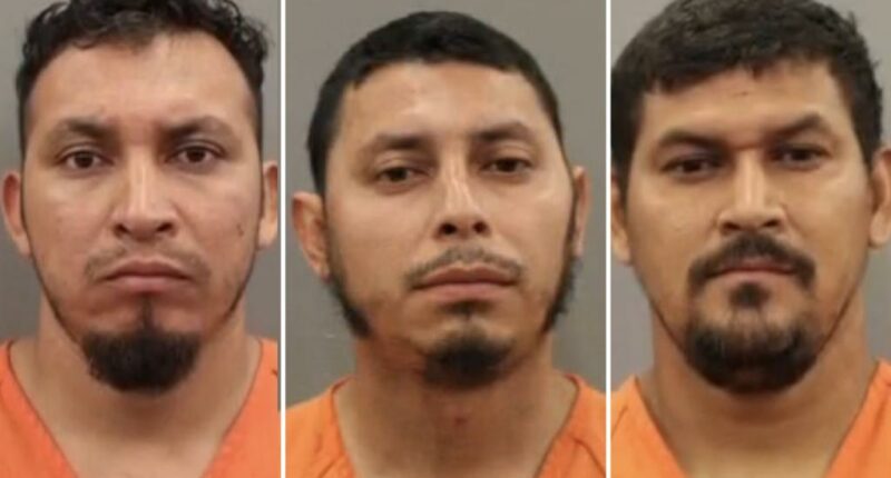 ThreeÂ illegal Salvadorans using dating app to meet teen girls nabbed in Houston sting operation: authorities