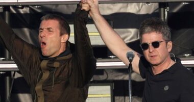 Ticketless Oasis fans 'storm Heaton Park' over fence