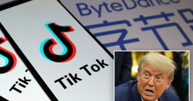 TikTok building new version of app ahead of expected US sale: report
