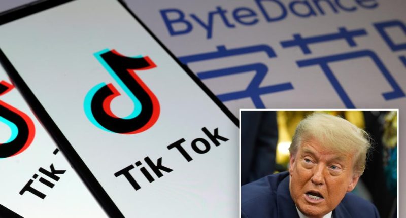 TikTok building new version of app ahead of expected US sale: report