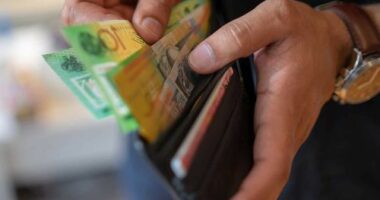 The federal government will introduce legislation to protect the use of cash.
