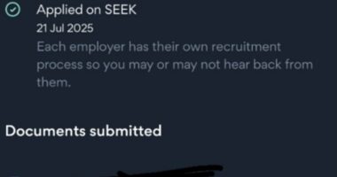 An Aussie with a TAFE IT Advanced Diploma shared the horror of seeing more than 900 people applying for just one entry level role on the job website SEEK
