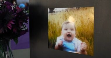 Photo of a smiling baby in a field.