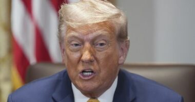 A friend of the Iranian Supreme Leader﻿ has joked Iran could assassinate US President Donald Trump in Florida.