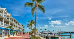 Tourist city forced to backtrack after approving sanctuary city status
