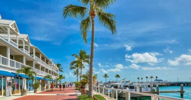 Tourist city forced to backtrack after approving sanctuary city status