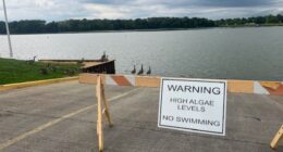 Toxic algae levels going down in Mattoon, community resources continue popping up