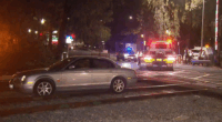 A train driver's quick reflexes have helped avoid disaster, after an elderly driver became stuck on the tracks in Adelaide.
