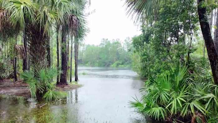 Tropical downpours floods yards in north Brevard County during flash flood warning