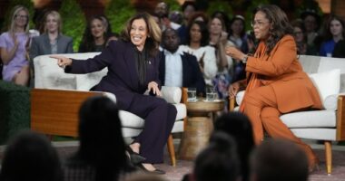 Trump Blasts Kamala and the Celebrities Her Campaign Paid, Says 'They Should All Be Prosecuted!'