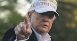 Trump Drops the Hammer in New Statement on People Who Are Physically Attacking ICE Agents