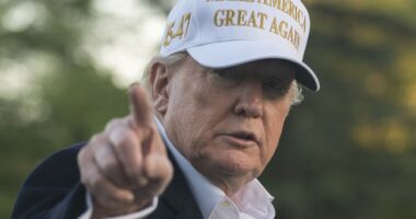 Trump Drops the Hammer in New Statement on People Who Are Physically Attacking ICE Agents